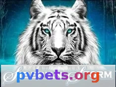 pvbet é confiável: Guia Completo da Plataforma 4 Imagem ilustrativa